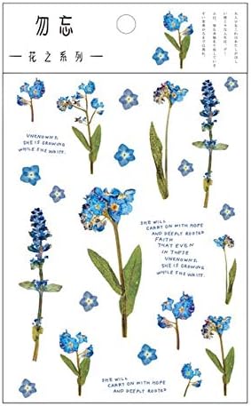 Amazon Co Jp Crrb 12は自然デイジークローバー日本の言葉ステッカー透明pet素材の花葉植物デコステッカーデザイン Color Myosotis ホーム キッチン