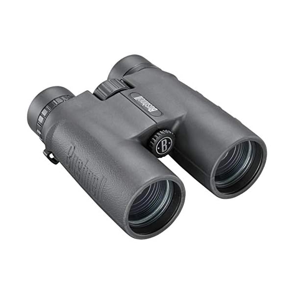 Bushnell - Allzweck - 10x42 - Schwarz - Dachkantprisma - Fernglas - Vogelbeobachtung - Sightseeing - Reisen - Wildtiere… – Bild 3