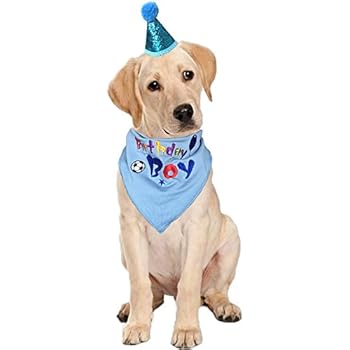 dog birthday scarf