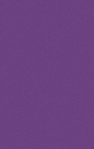 RugSquare Shag Area Rug, Contemporary Solid Color, Olefin Fiber, 39" W x 39" L, Purple