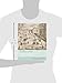 The Waters of Rome: Aqueducts, Fountains, and the Birth of the Baroque City