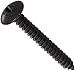 Small Parts 0820ABPTB Steel Sheet Metal Screw, Black Oxide Finish, Truss Head, Phillips Drive, Type AB, #8-18 Thread Size, 1-1/4
