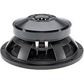 B&amp;C 12TBX100 Studio Subwoofer