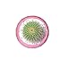 Gereton Silicone Mold for 3D Succulent Plant Flower Pot,Gypsum Cement Fleshy Plant Flower Pot Silicone Mould Bonsai,DIY Polyhedron Cactus Muti-Meat Flower Planter Mould