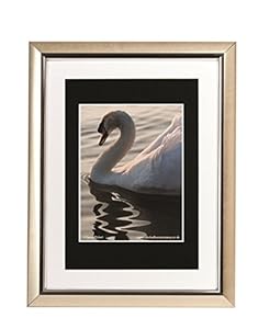frame uk 12x16 inch Album Company Premium Photo Certificate A4 Frame With