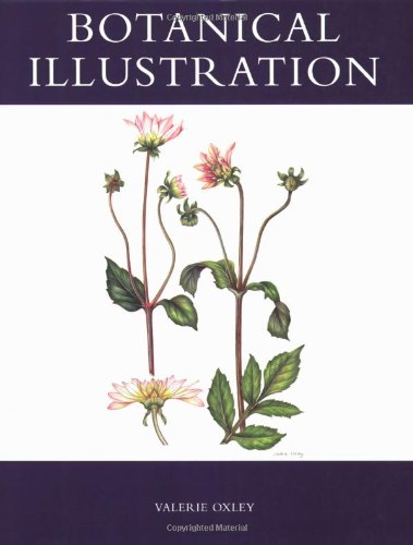 Botanical Illustration (9781847970510)