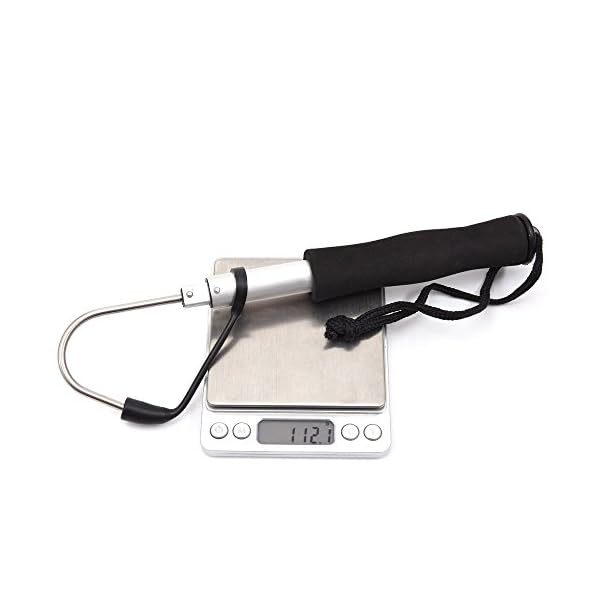 Docooler-Telescopic-Retractable-Fish-Gaff-Stainless-Sea-Fishing-Spear-Hook-Tackle-with-Soft-EVA-Handle