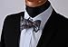 HISDERN BOW TIE SET