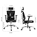 Hbada Ergonomic Office Desk Chair with Adjustable Armrest, Lumbar Support, Headrest and Breathable Skin-Friendly Mesh, Black