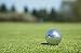Chromax High Visibility M1x Golf Balls 6-Pack, Silver