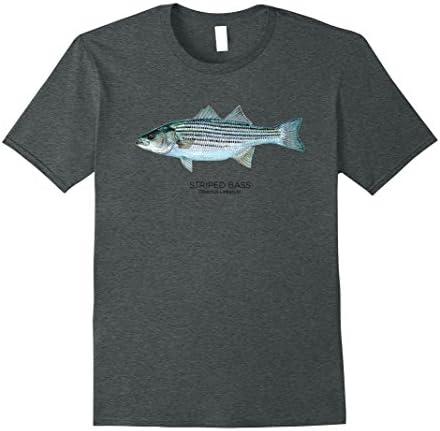 Mens Striped Bass T-shirt Large Dark Heather