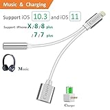 iphone 7 / 7 plus / 8 / X adapter, (Support iOS 10.3, 11)Cone 2 in 1 Lightning Adapter and Charger, Lightning to 3.5mm Aux Headphone Jack Audio Gender Adapter for iphone X, 8, 8 plus, 7(Silver)