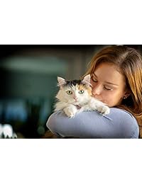 In Clover Spry Daily Respiratory and Ocular Support Soft Chews for Cats, with L-Lysine, Superfoods, and Prebiotics for a Strong Immune System