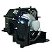 EPSON EMP-400WE Replacement Projector Lamp ELPLP42 / V13H010L42