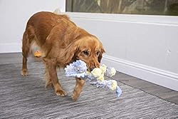 goDog Dinos Frills Squeaky Plush Dog Toy, Chew