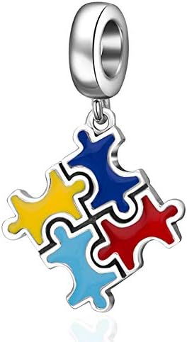 Amazon.com: 2026 Autism Awareness Dangle Charms - fit Pandora