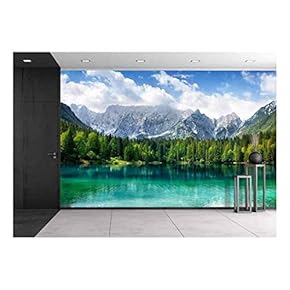 The Green Creeper Plant on a White Wall Creates a Beautiful Background - Removable Wall Mural | Self-Adhesive Large Wallpaper - (66"x96", Artwork - 26)