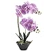 GTIDEA 19 inches Artificial Phaleanopsis Realistic PU Fake Orchid Bonsai Plant with Black Ceramic Pot Home Office Bedroom Table Centerpieces Decor Light Purple