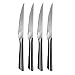 Calphalon Katana 4-Piece Steak Knife Set