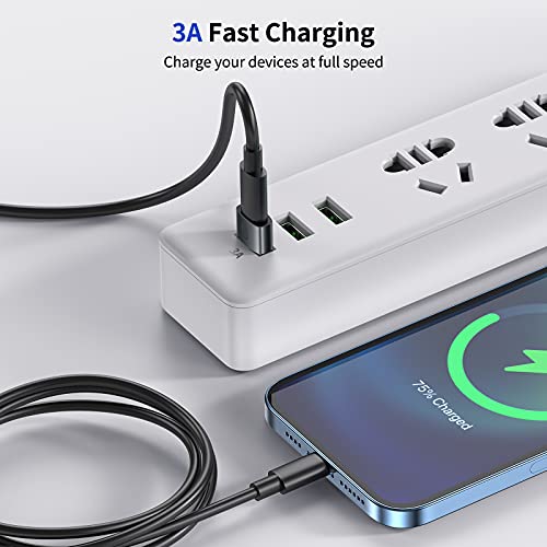 Syncwire USB C Female to USB Male Adapter 2 Pack,Type C to A Converter Adapter Compatible with iPhone 12 11 Pro Max,iPad,Laptops,Samsung Galaxy Note 10 S20 Plus 20 FE Ultra,Google Pixel 5 4 4a 3 2 XL