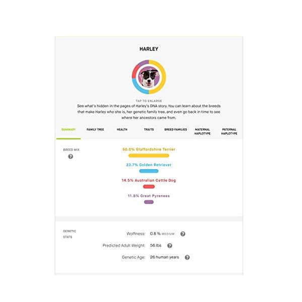 dog dna breed identification test