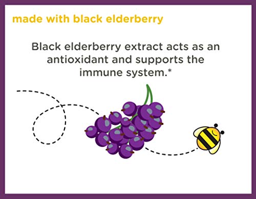 Zarbees-Naturals-Childrens-Elderberry-Immune-Support-with-Vitamin-C-Zinc-Natural-Berry-Flavor-42-Gummies