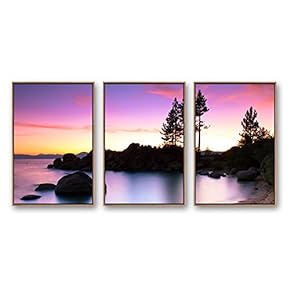 3 Piece Framed Canvas Wall Art for...