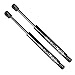 BOXI 2pcs Trunk Gas Charged Lift Support for Buick Century 00-05, Buick Regal 99-04, Oldsmobile Intrigue 98-02 Trunk with Spoiler SG430025, 10419581