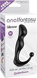 Nasswalk Anal Fantasy Deluxe Perfect Silicone Plug, 5.25 Inch, Black