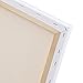 Studio 71 Medium Weight Traditional Stretched Canvas–24” x 36” Painting Canvas for Oil or Acrylic Paints, Triple Acrylic Primed Wood Frame Canvas, Acid-Free