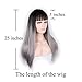 MSSQUEEN Silky Long Straight Wigs for Women Black to Grey Synthetic Wigs With Bangs High Temperature Natural Looking Costume Full Wigs