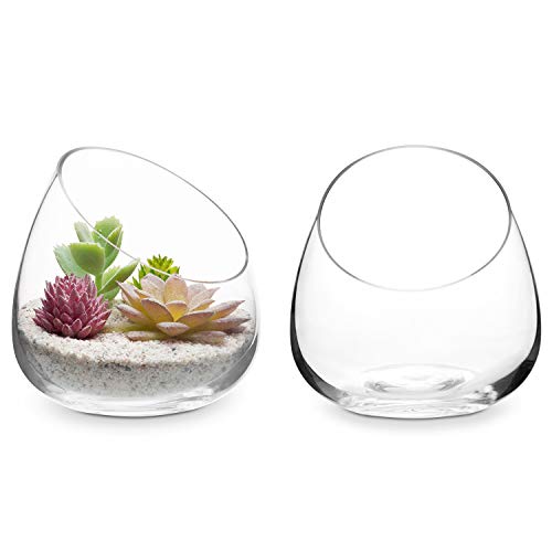 Photo 1 of MyGift 5 Inch Premium Clear Glass Air Plant Terrarium, Mini Candy Bowl Jar, Tealight Candle Holder, Succulent Cactus Plant Vase, Set of 2