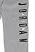 Jordan Big Boys' Graphic Fleece Trousers