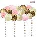 19 Pcs Pink and Gold Tissue Paper Flowers Pom Poms Lanterns and Garland for Baby Shower Party Decoration
