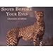 Spots Before Your Eyes - Book by Howard G. Buffett