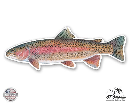 Rainbow Trout Fish - 3