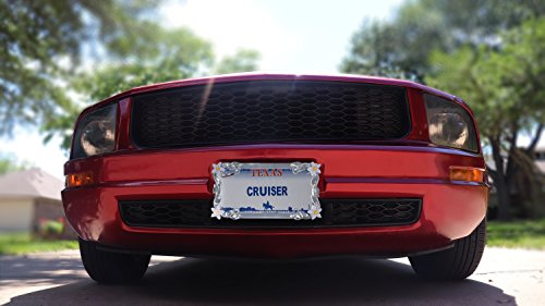 2 Cruiser+Accessories+19130+License+Painted