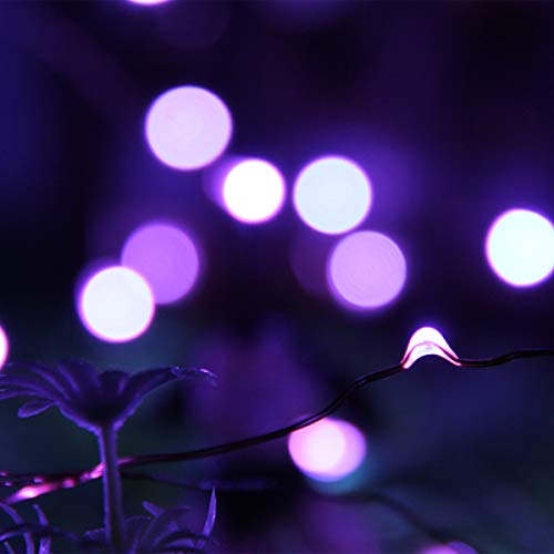BINZET LED String Lights, 6.5ft 20 LEDs Waterproof Purple 3xAA Battery Powered Flexible Copper Wire Fairy Light for Bedroom, Garden, Patio, Party, Home, Seasonal Holiday Decoration - Thumbnail 2