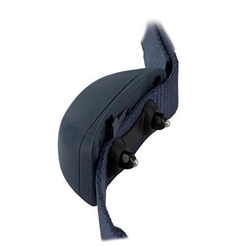 PetSafe SMART DOG Bluetooth Training Collar