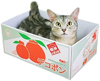 DECOPONG Cute Cat House Scratching pad Included in 4 types Hanrabong