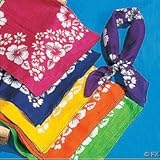 Fun Express Hibiscus Print Bandana