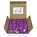 Beauticom 5G/5ML Clear Round Jars with Purple Lids for Pills, Medication, Ointments and Other Beauty and Health Aids (Quantity: 50 Pieces)