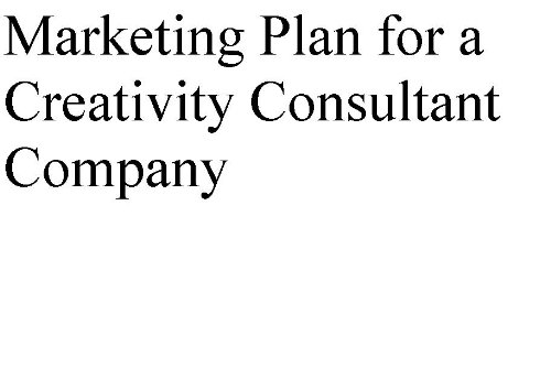 Marketing and Growth Strategies for a Creativity Consultant Company (Professional Fill-in-the-Blank Marketing Plans by specific type of business with editable CD-ROM)