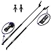 Two Rear Hatch Hatchback Liftgate Trunk Gas Charged Lift Supports For 89-94 Geo Metro Hatchback, 90-94 Pontiac Firefly, 89-94 Suzuki Swift. Left and Right Side. WGS-313-314