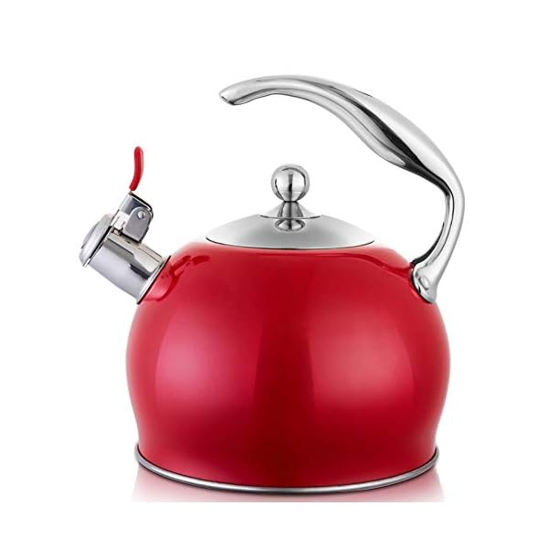 Tea Kettle Best 3 Liter induction Modern Stainless Steel Surgical