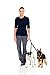 Double Dog Leash Coupler by All Pawz - Best for Large & Medium Breeds - Walk Two Dogs with 1 Leash - 100% Heavy Duty No Tangle Walker Training Leash - Extends 16-24 Inches - Black Nylon