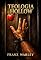 Livro Teologia Hollow (Quer sair da Matrix Comigo? Livro 3)