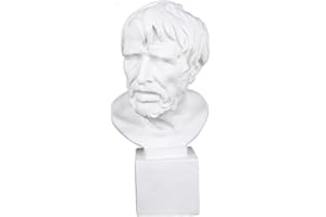 WaNana 5.9''-7.48'' Plaster Bust Statue Resin Casting Painting Sketch Figurines-Michelangelo Sculpture David Venus Apollo-for Home Decoration Art Hobbyist Seneca