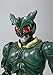 Bandai Tamashii Nations Kamen Rider Agito Gills S.H.Figuarts Toy Figure