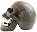 Seraphic Creepy Halloween Human Skull Sculpture with Mouth Open, Black